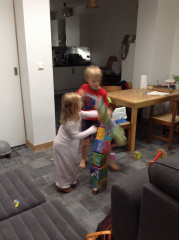 IMG 1463